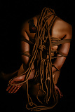 SHIBARI  12