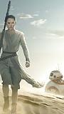 Star Wars Rey  19