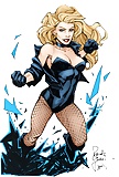 DC Cuties - Black Canary (Dinah Laurel Lance) 13